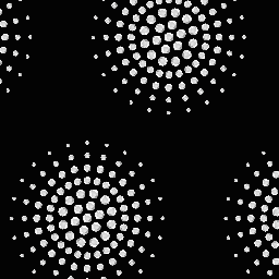 BT-CA0007D SS-6-12-16-20