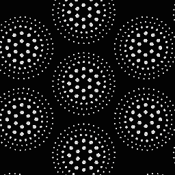 BT-CA0001B SS-6-12-20