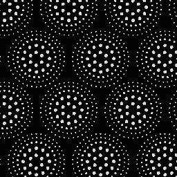 BT-CA0001C SS-6-12-20