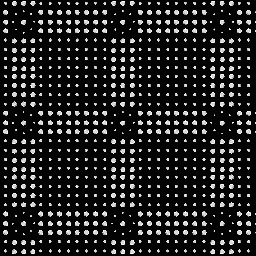 BT-EA0020 SS-6-12-20