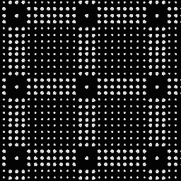 BT-EA0019 SS-12-20